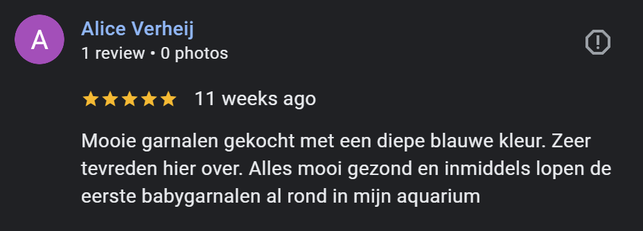 Google review screenshot