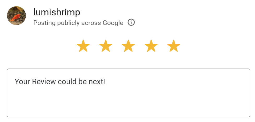 Google review screenshot